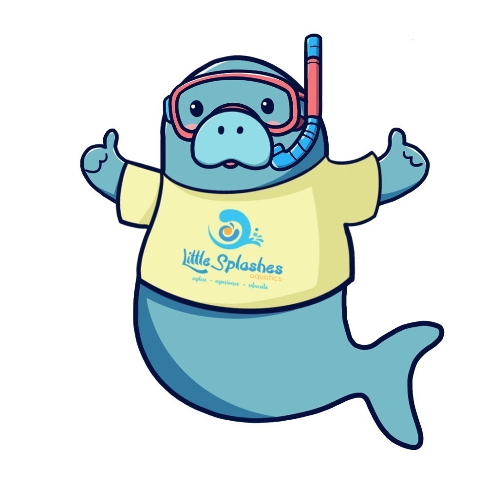 Snorkelling Manny Snorkelling Manny